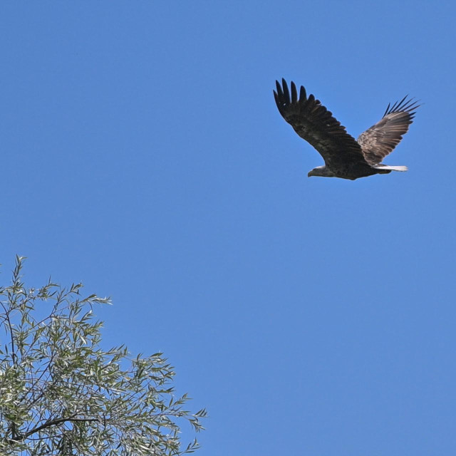 Ilustrativna fotografija