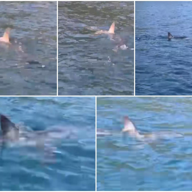 KAPETAN Julijan Vuković