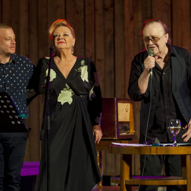 U Zagrebu će se održati veliki koncert u čast Arsenu, Gabi i Matiji