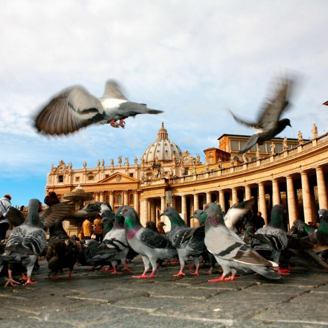 Ilustativna fotografija