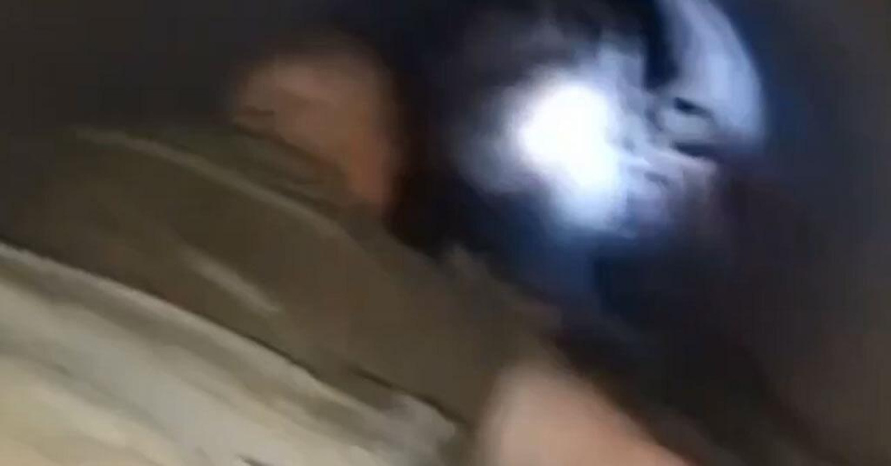 Intenzivni boji v Kupjansku in obupani ruski poveljniki pošiljajo kuharje v boj