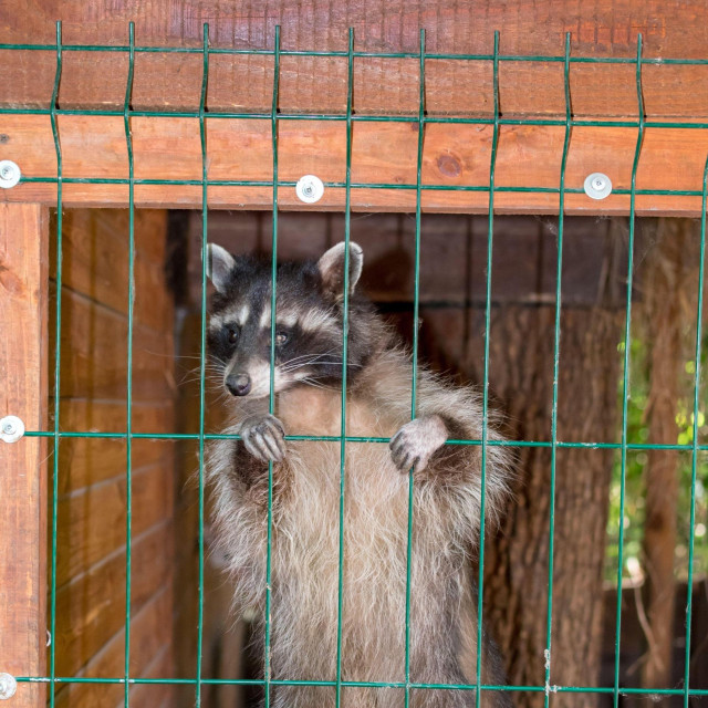 Otis je pušten čim se otrijeznio, ilustrativna fotografija