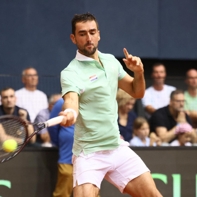Marin Čilić
