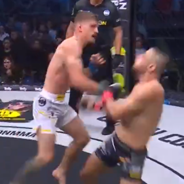David Dvorak vs. Mohammed Wallid