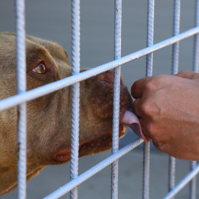 Ilustrativna fotografija