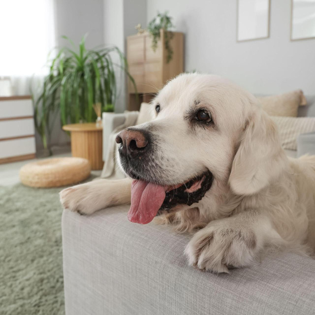 Ilustrativna fotografija