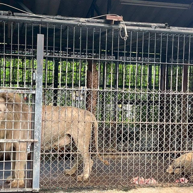 Ilustrativna fotografija