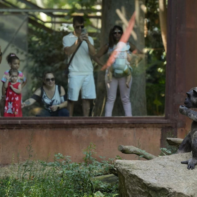 Ilustrativna fotografija