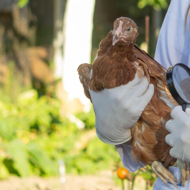 Ilustrativna fotografija