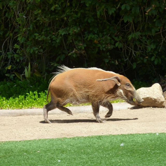 Ilustrativna fotografija