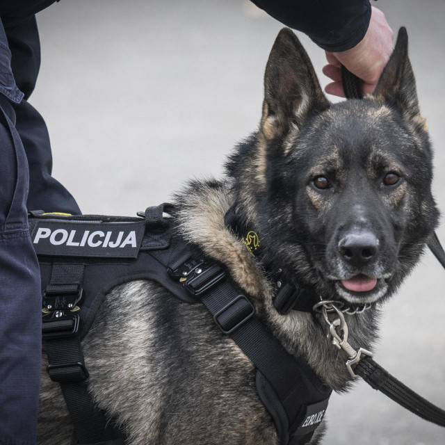 Ilustrativna fotografija