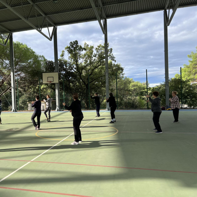 Harvardski stručnjaci preporučuju borilačke vještine, točnije tai chi