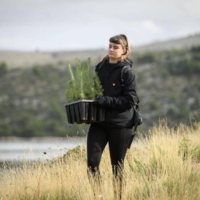 Ilustrativna fotografija