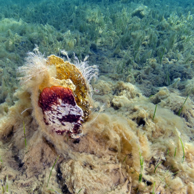 Ilustrativna fotografija