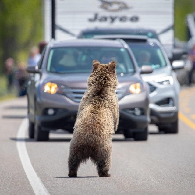 Ilustrativna fotografija