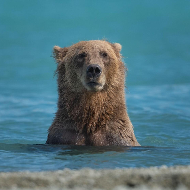 ilustrativna fotografija