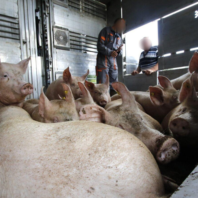 Ilustrativna fotografija