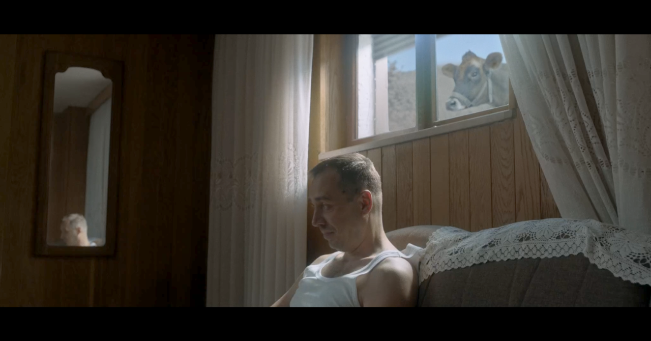 Split Film Festival in filmski festival v Chicagu predstavljata dela hrvaških ustvarjalcev