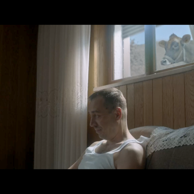 Stjepan Perić i krava