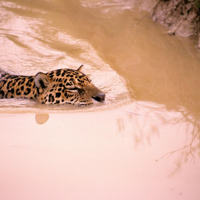 Ilustrativna fotografija