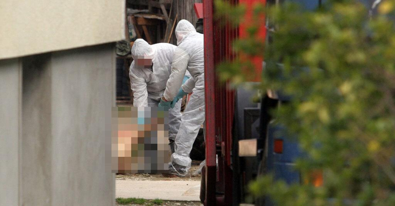 Afrička svinjska kuga potvrđena i u Republici Srpskoj