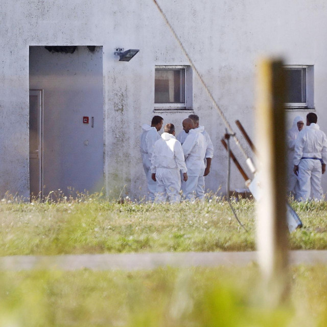 Zbog pojave virusa afričke svinjske kuge (ASK) na farmi tvrtke Belje plus Sokolovac započela je eutanazija 9829 svinja