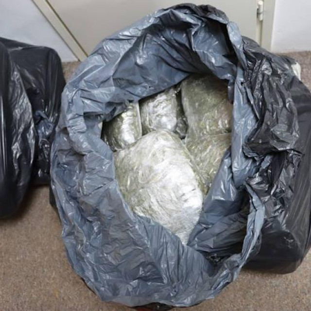 Zapljena marihuane/Ilustracija