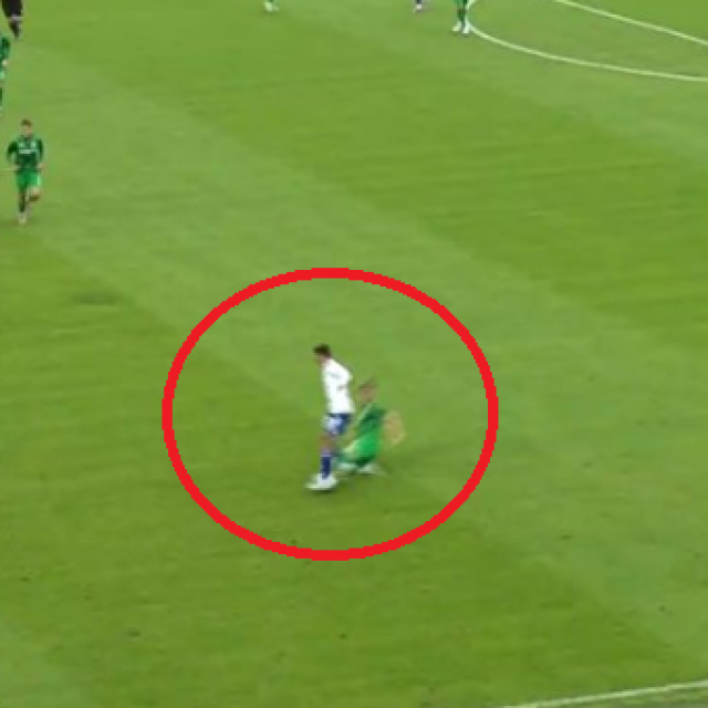 Isključenje Erika Riđana