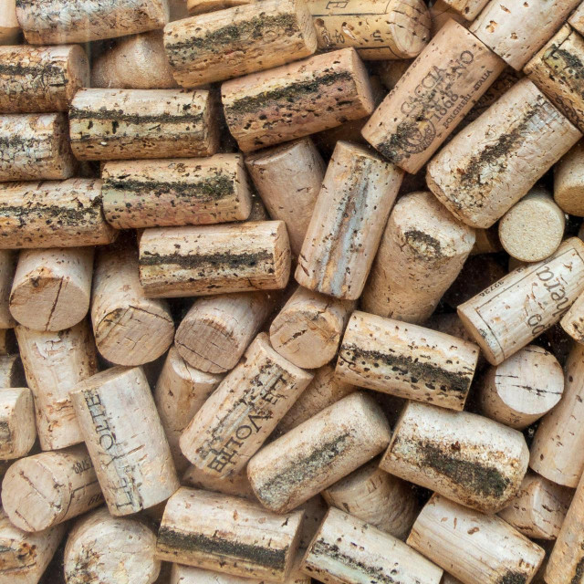 Pluteni čepovi, ilustracija