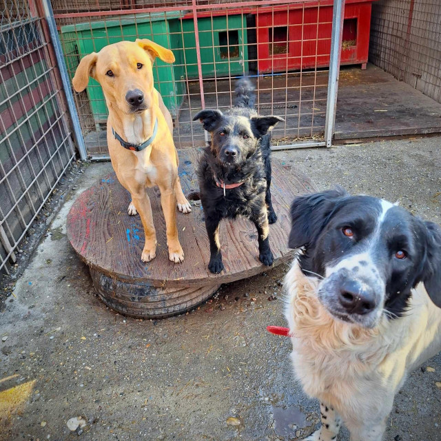 Ilustrativna fotografija