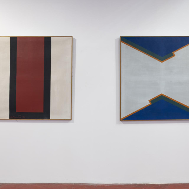 Izložba Dražena Tomičića