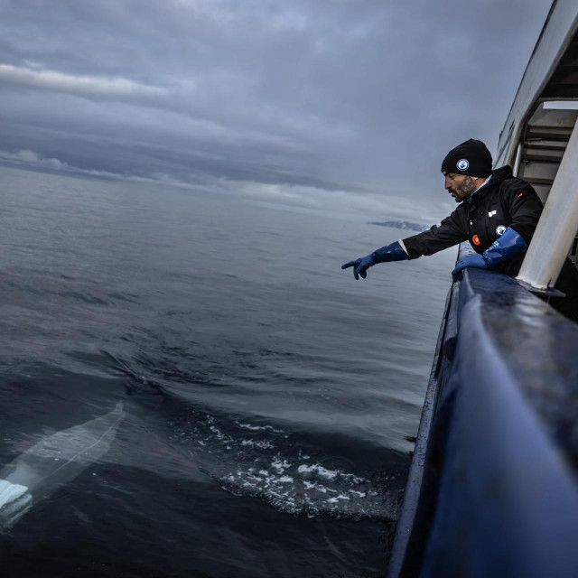 Ilustrativna fotografija