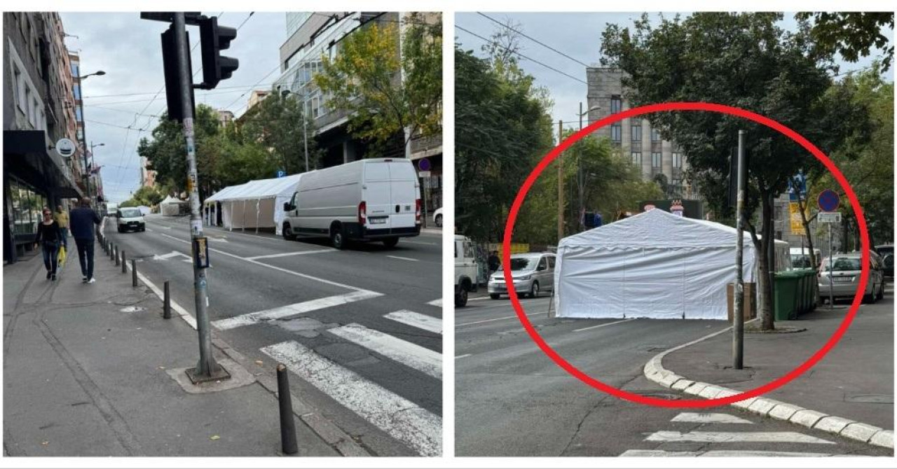 Mnogi građani Beograda s pravom su u šoku što im se pojavilo u centru metropole. Fotografije se šire mrežama