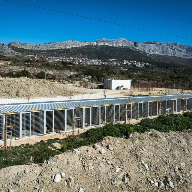 Privremeni azil za pse na splitskom Karepovcu izgrađen je za prihvat pasa splitskog psihijatra

 

 