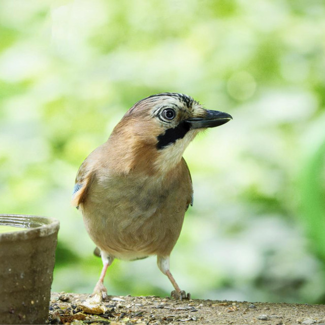 Ilustrativna fotografija