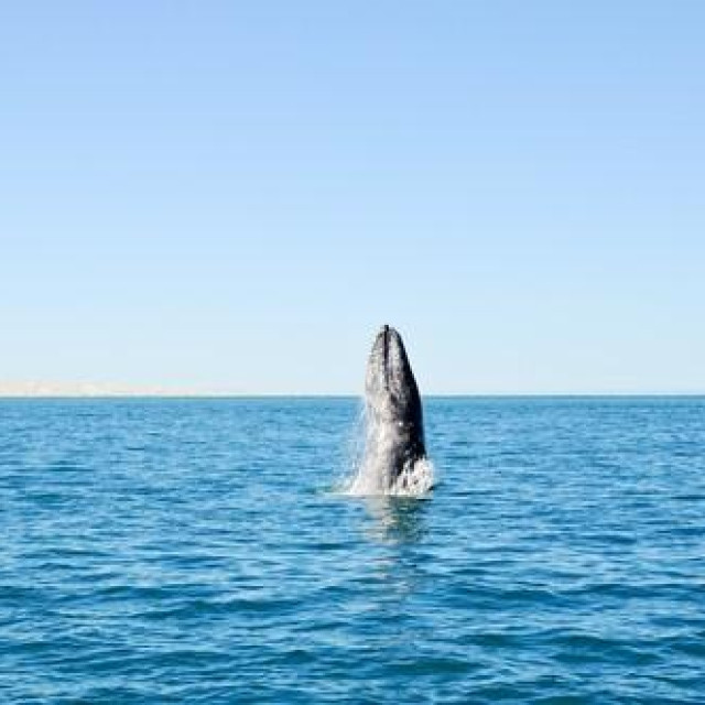 Ilustrativna fotografija