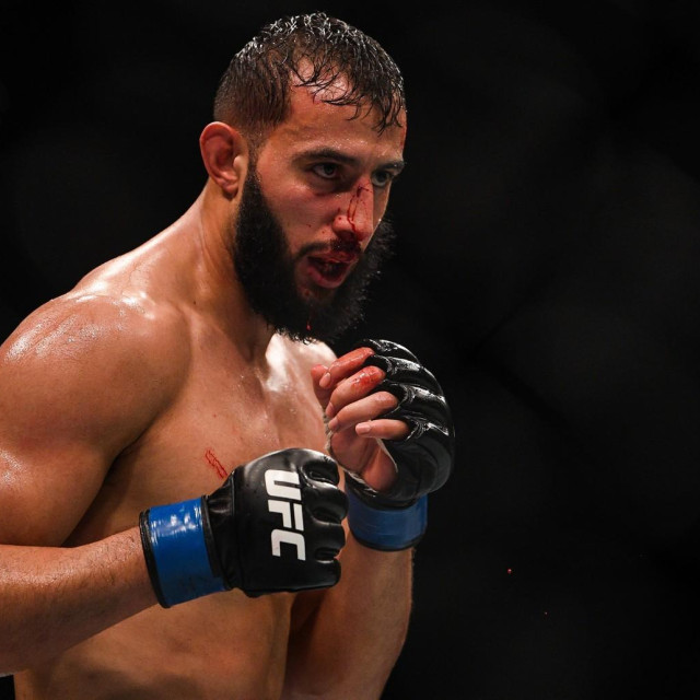 Dominick Reyes
