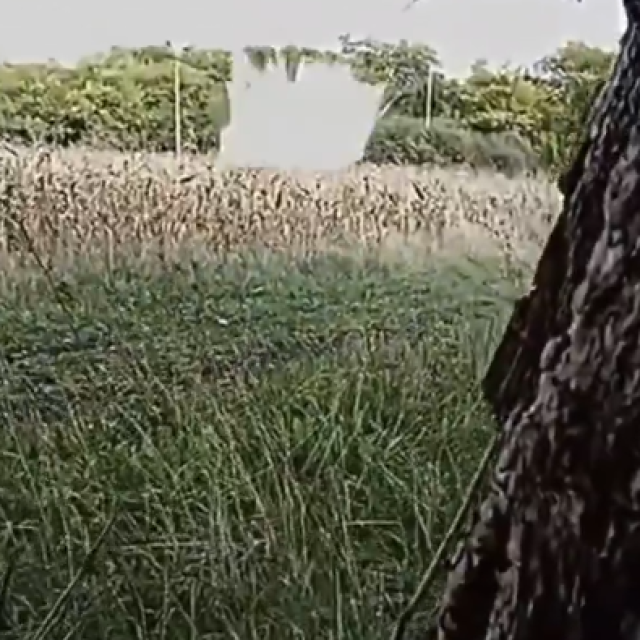 Eksplozija vozila u Tambukanu