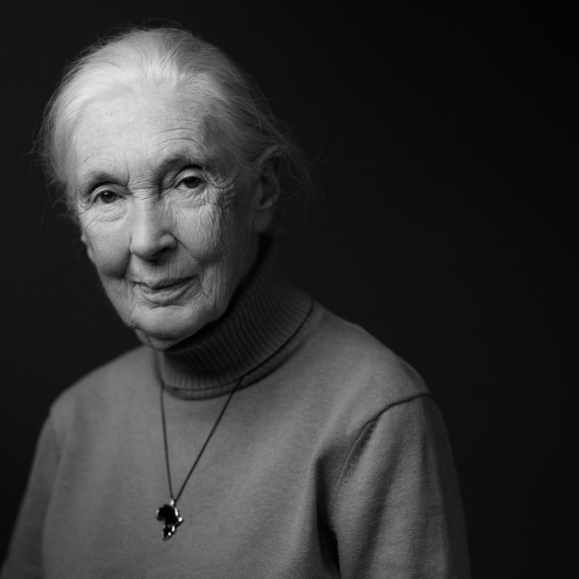 Dr. Jane Goodall 