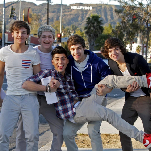 One Direction: Zayn Malik, Liam Payne, Louis Tomlinson, Niall Horan i Harry Styles