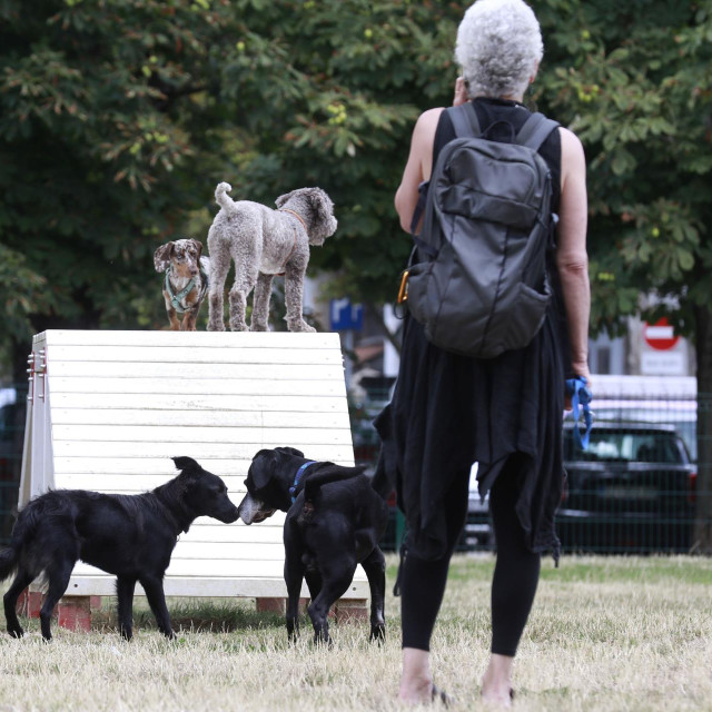 Igranje i druženje psima je potrebno na dnevnoj bazi
 