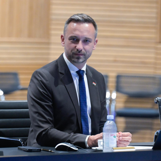 Ministar socijalne politike Marin Piletić