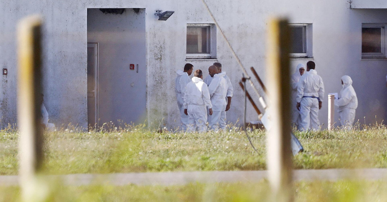 Novi slučajevi afričke svinjske kuge u Osječko-baranjskoj županiji