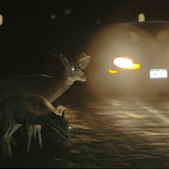 Ilustrativna fotografija