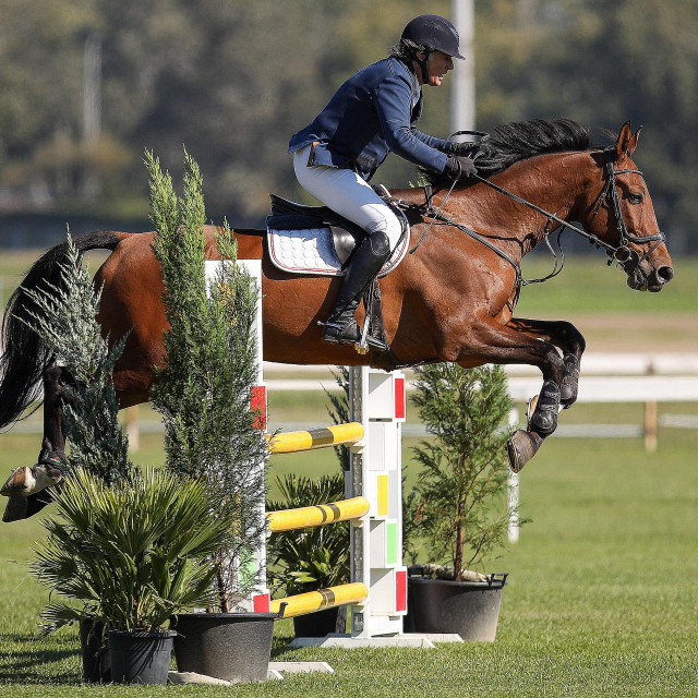 Sklad čovjeka i konja od petka do nedjelje je viđen i na zagrebačkom hipodromu