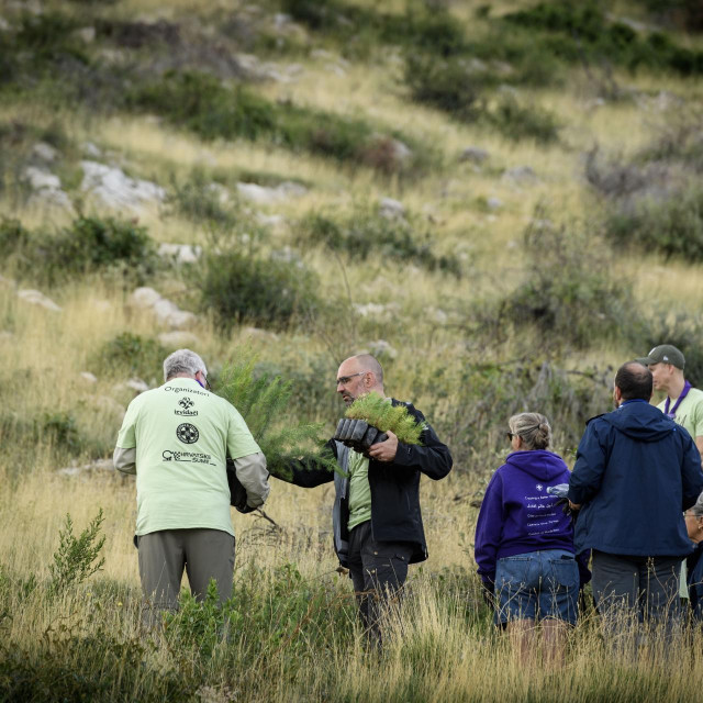 Ilustrativna fotografija