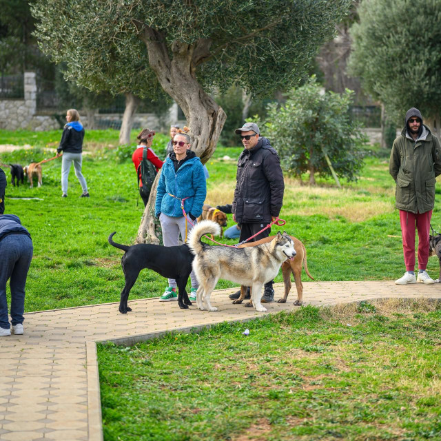 Dubrovnik, 190125.
Organizirana setnja pasa Uvalom Lapad u organizaciji dubrovackog azila za pse.