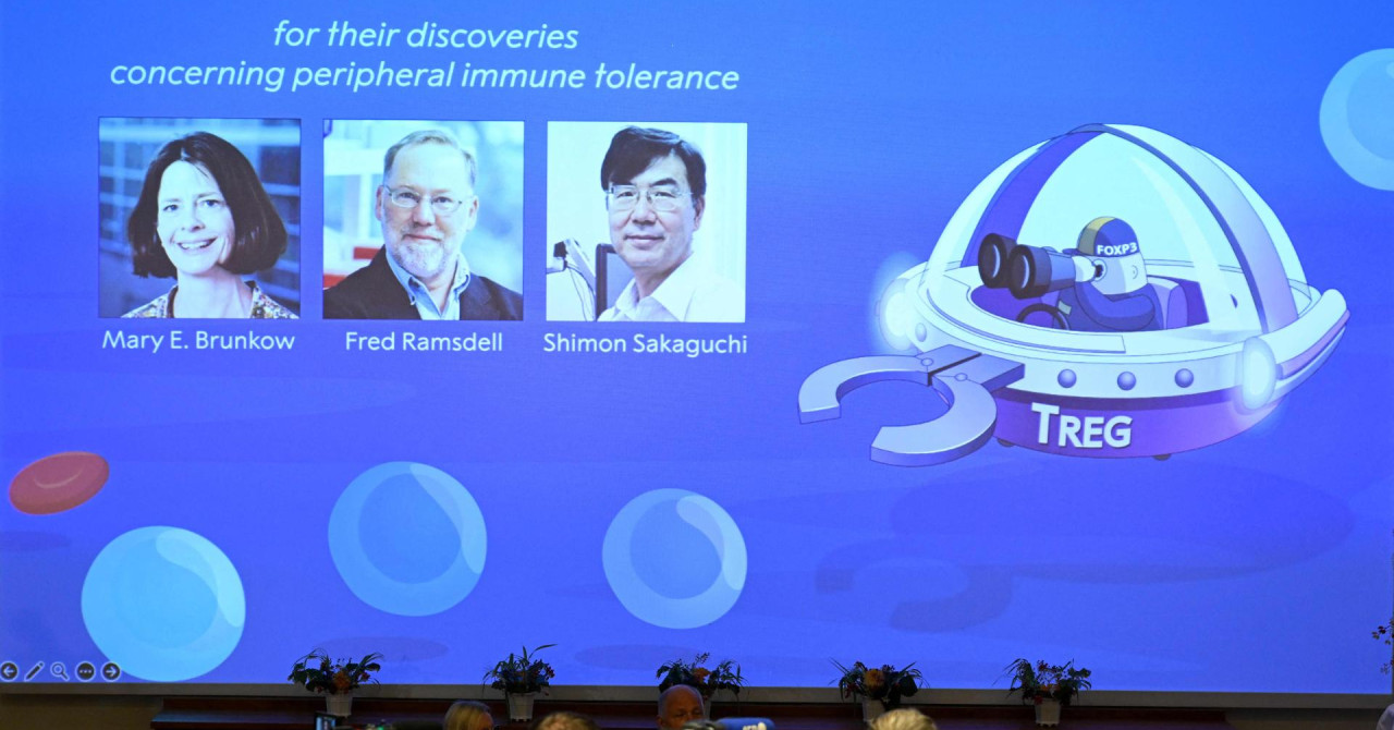 Troje laureata dijeli Nobelovu nagradu za medicinu, došli su do revolucionarnih saznanja: U petak objava najiščekivanije kategorije