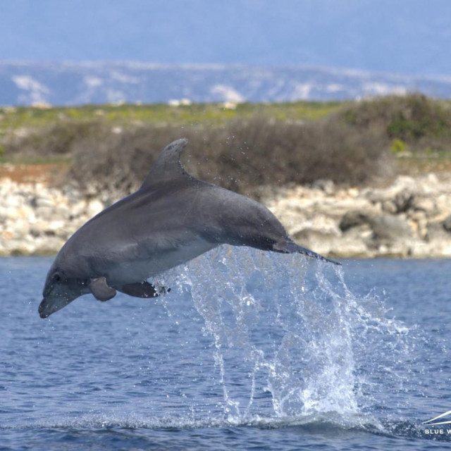 Ilustrativna fotografija