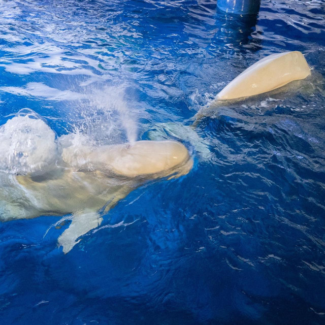 Ilustrativna fotografija